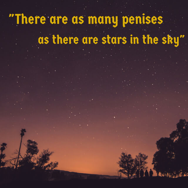 Davey Wavey Quotes - As many penises...