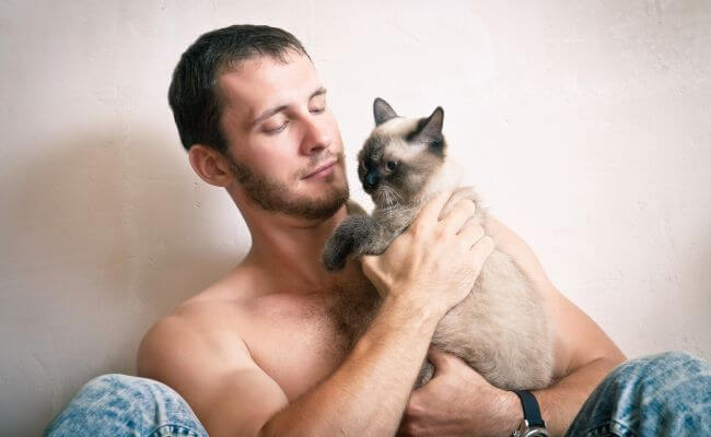 Cat with a man