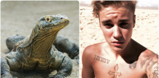 Justin Bieber is a lizard?