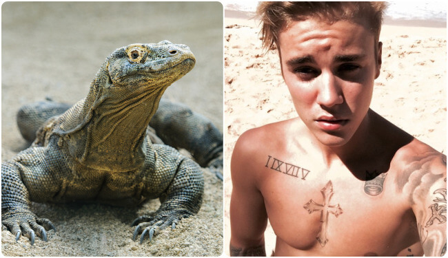 Justin Bieber is a lizard?