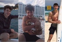 Shawn Mendes collage