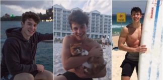 Shawn Mendes collage