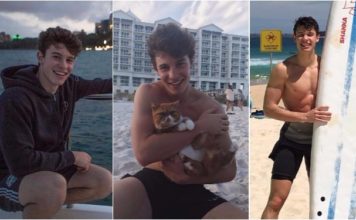 Shawn Mendes collage