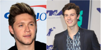 Shawn Mendes and Niall Horan