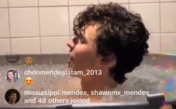 Shawn Mendes ice bath