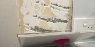 Breaks wall with plug